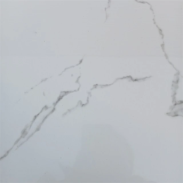 S1606-2 S1606-2